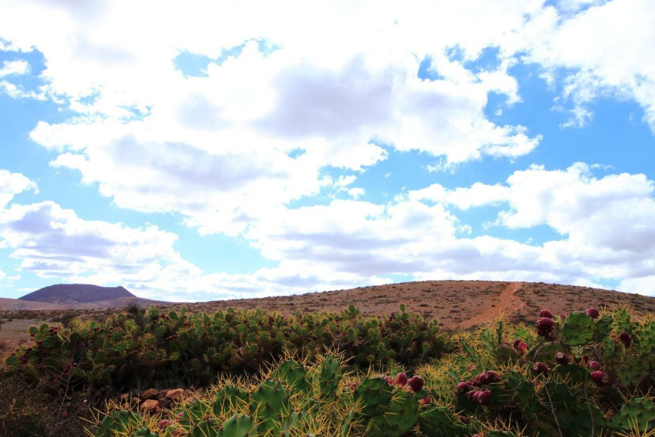 Montana Valles De Ortega - A Extérieur photo